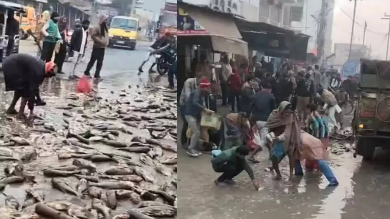 बिहार में मासूम बच्चे की मौत के बाद मछलियों की लूट: इंसानियत पर सवाल