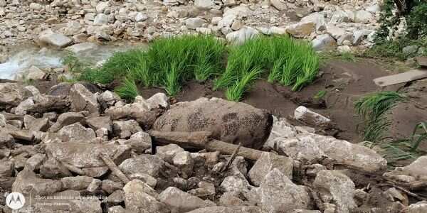 भारी बारिश ने उत्तरकाशी के कई क्षेत्रों में मचाई तबाही