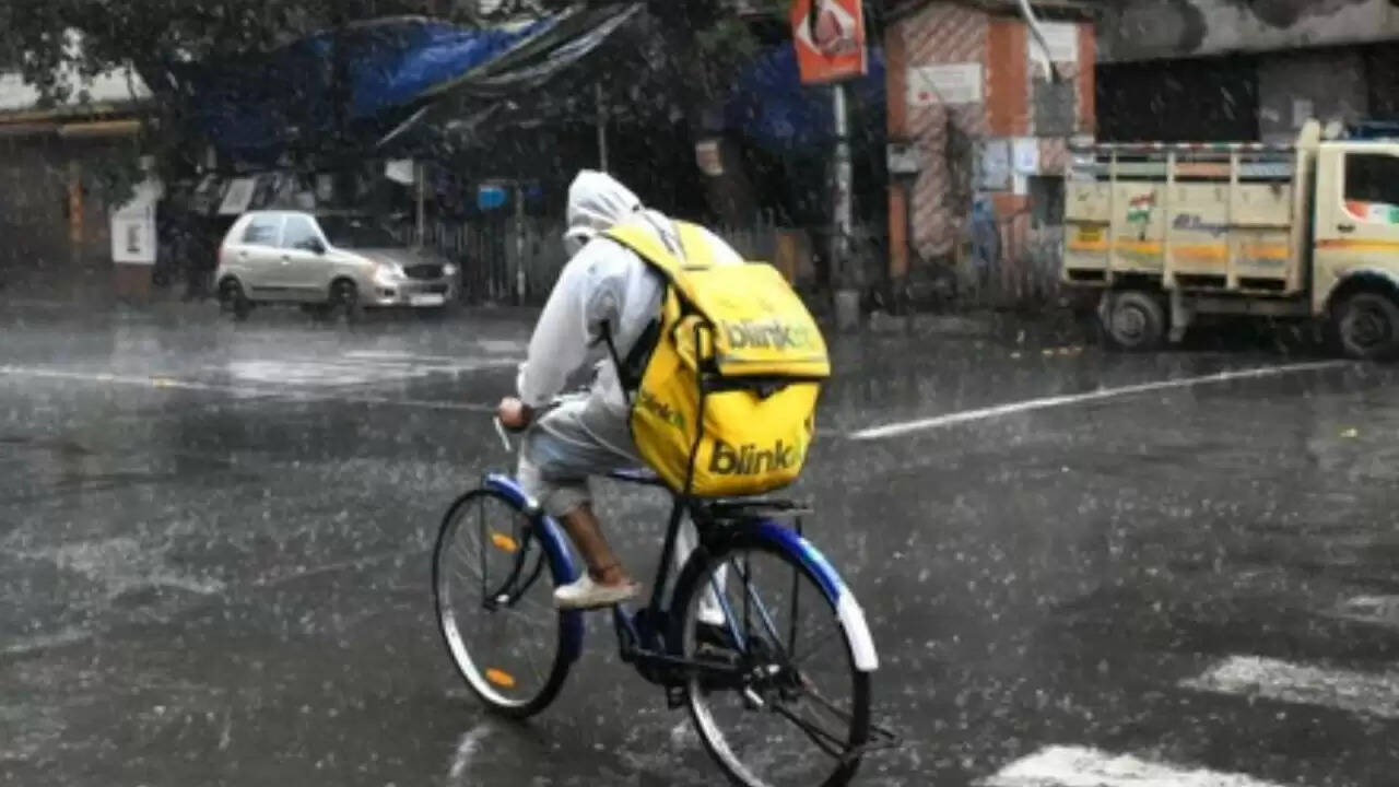 दिल्ली की फिनटेक अधिकारी की कहानी: ब्लिंकइट डिलीवरी पार्टनर ने किया दिल छू लेने वाला काम