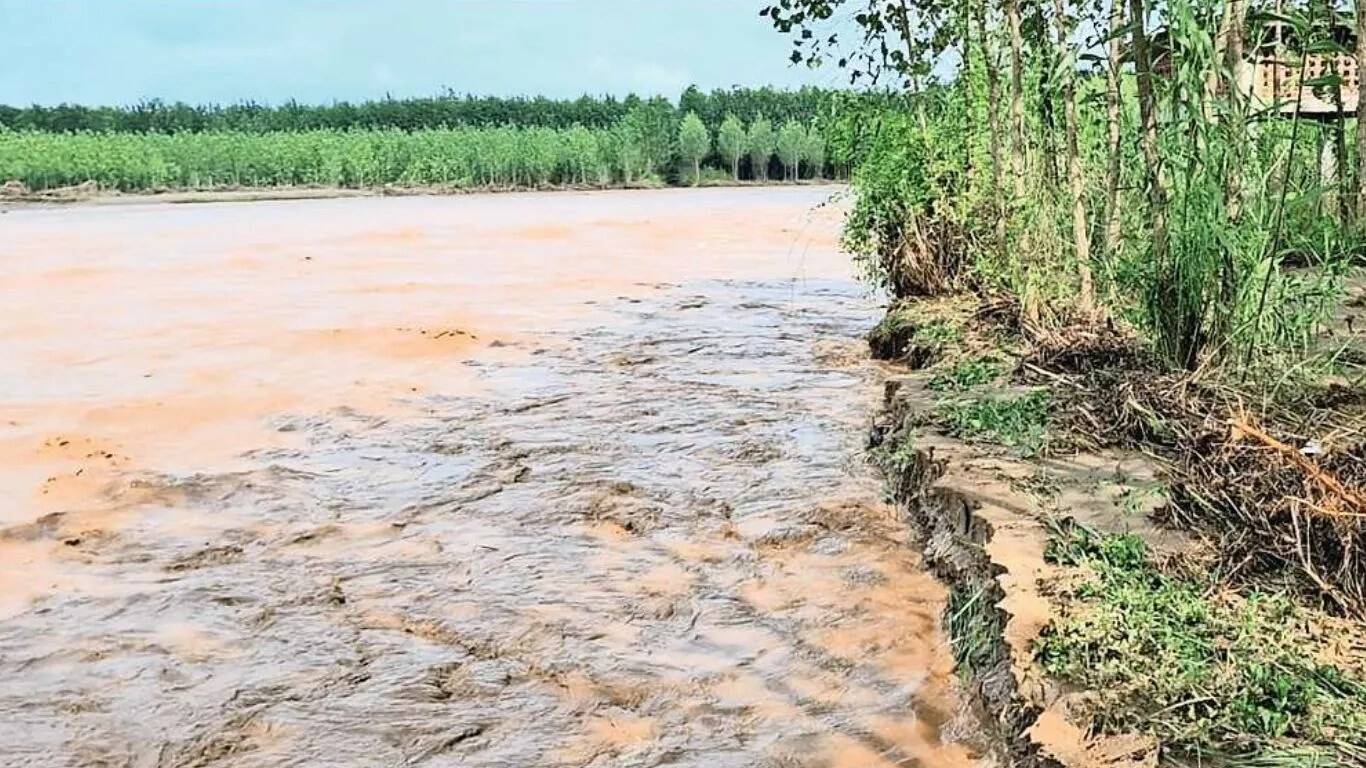 छछरौली में बाढ़ से किसानों की फसलें बर्बाद, 30 गांव प्रभावित