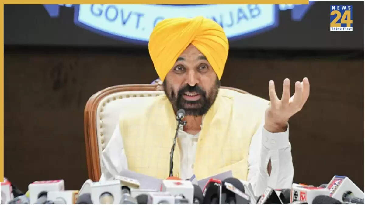 पंजाब में बाढ़ प्रभावित क्षेत्रों के लिए 100 करोड़ का सफाई अभियान