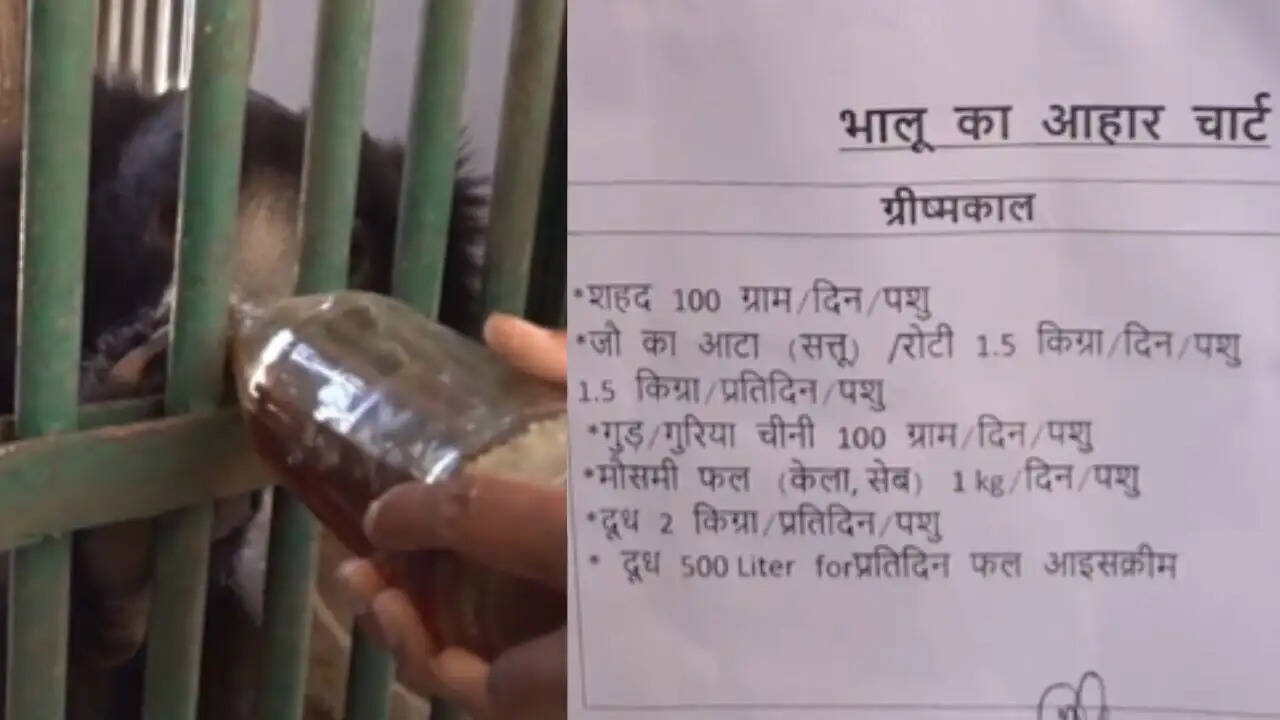 जयपुर में गर्मी से जानवरों की सुरक्षा के लिए विशेष उपाय