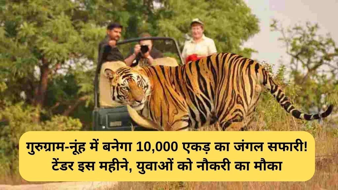 हरियाणा में 10,000 एकड़ का जंगल सफारी प्रोजेक्ट: युवाओं के लिए रोजगार के अवसर