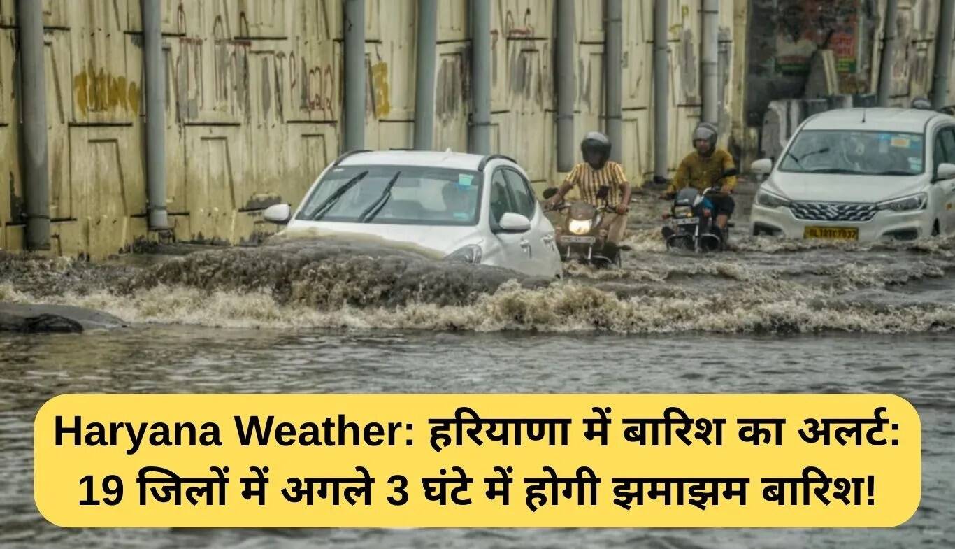 हरियाणा में बारिश का अलर्ट: अगले 3 घंटे में 19 जिलों में भारी बारिश की संभावना
