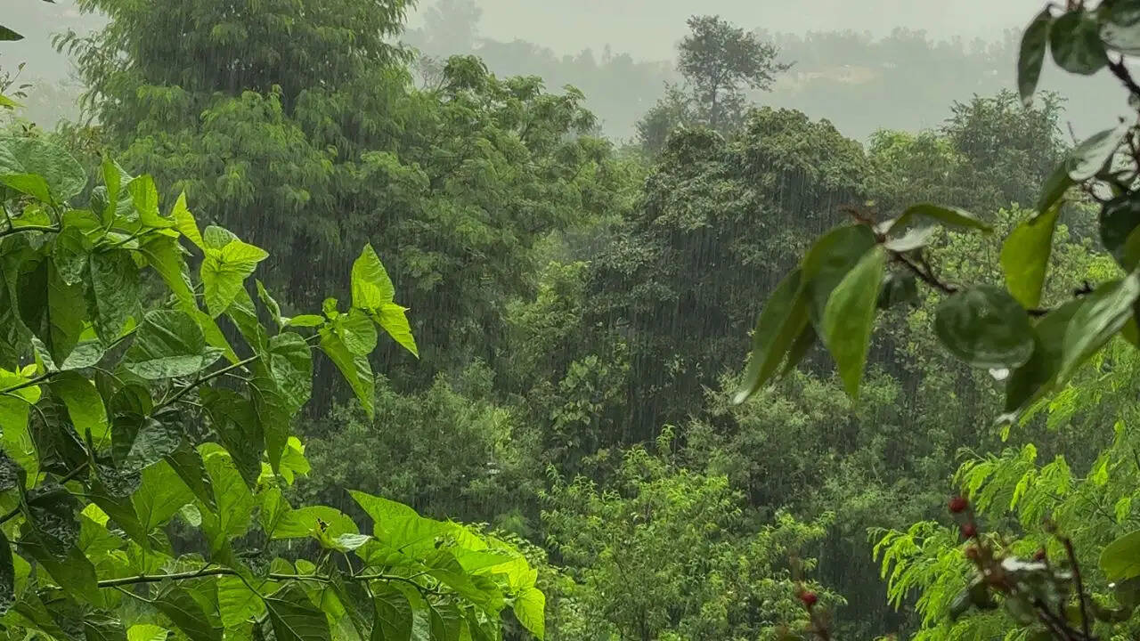 मानसून के चलते देशभर में बारिश का सिलसिला जारी
