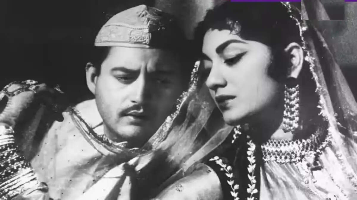 मीनू मुमताज़: संघर्ष और विवाद की कहानी