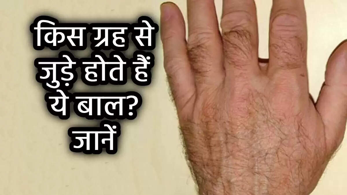 सामुद्रिक शास्त्र: हाथ के पंजे पर बाल का महत्व और संकेत