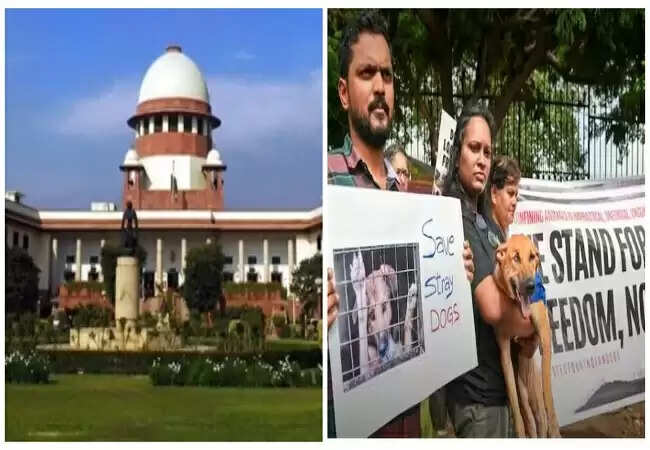 सुप्रीम कोर्ट का नया आदेश: आवारा कुत्तों को वैक्सीनेशन के बाद छोड़ने का निर्देश