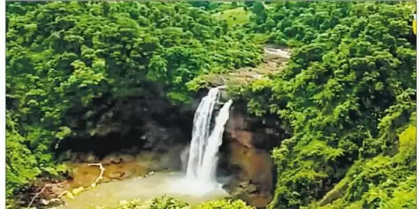 बलरामपुर : सरगुजा संभाग का सबसे ऊंचा कोटली जलप्रपात बरसात में अपने पूरे निखार व उफान पर