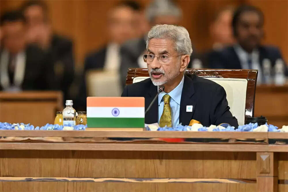 भारत के विदेश मंत्री का विवादास्पद बयान: पड़ोसी देशों को चेतावनी