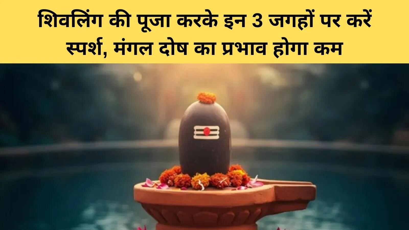 शिवलिंग की पूजा: आध्यात्मिकता और परिवारिक सुख का प्रतीक