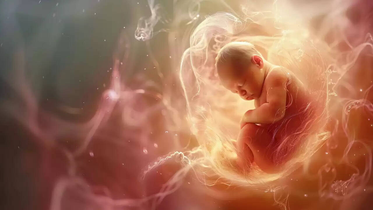 वायु प्रदूषण का गर्भस्थ जीवन पर गंभीर प्रभाव: अध्ययन से खुलासा