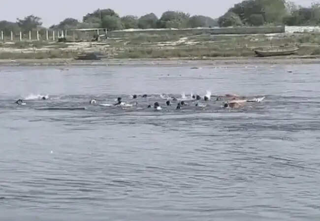 मथुरा में यमुना नदी में नाव हादसे में 11 की मौत, रेस्क्यू ऑपरेशन जारी