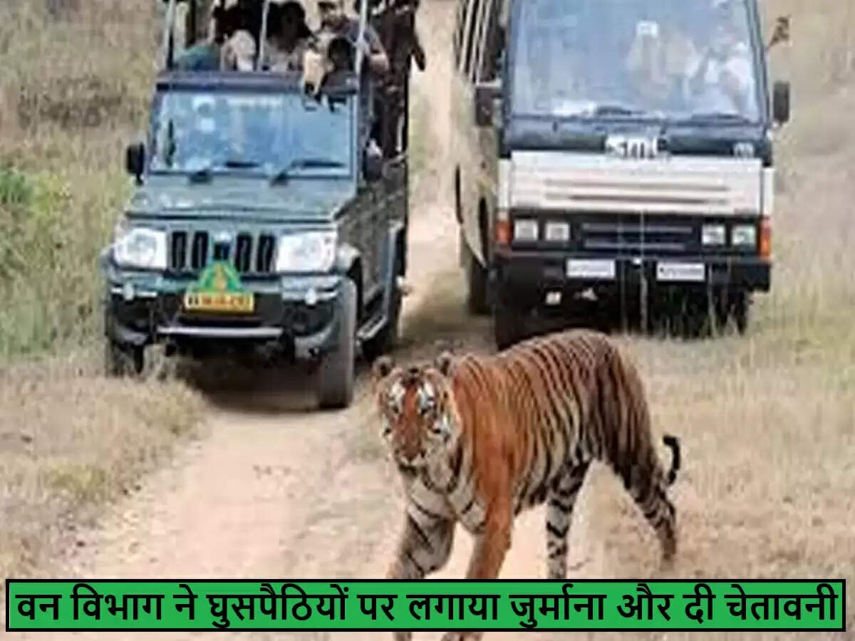 बांदीपुर अभयारण्य में अवैध प्रवेश पर वन विभाग की सख्त कार्रवाई