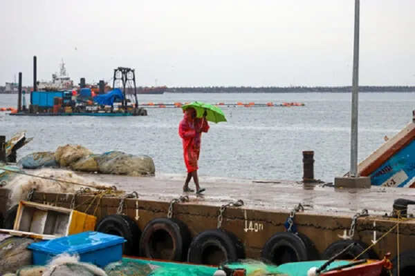 चक्रवाती तूफान 'दित्वाह' का खतरा: तटीय क्षेत्रों में ऑरेंज अलर्ट जारी