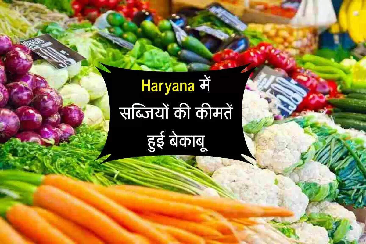 हरियाणा में सब्जियों की कीमतों में बेतहाशा वृद्धि, आम जनता की चिंता बढ़ी