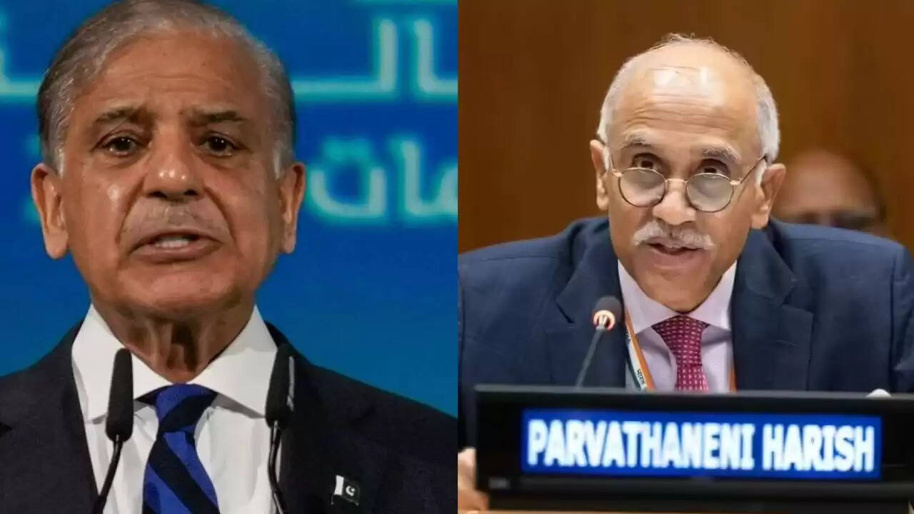 भारत ने UNSC में पाकिस्तान को दिया करारा जवाब