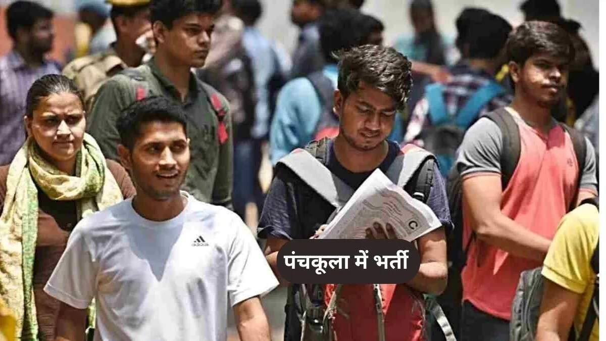 DCCW पंचकूला में नौकरी के अवसर: आवेदन प्रक्रिया और विवरण
