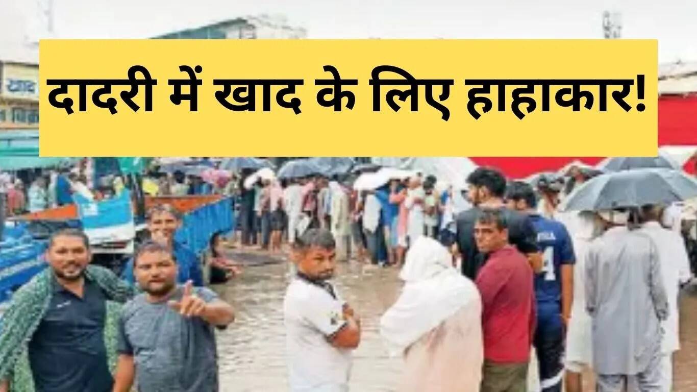 दादरी में खाद की कमी से किसानों की परेशानियाँ बढ़ीं