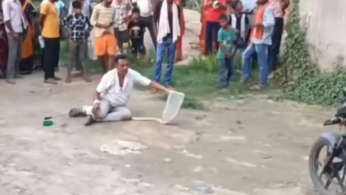 बिहार में सांप पकड़ने वाले व्यक्ति की मौत, वीडियो में कैद हुई घटना