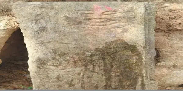 लोगों की अटूट श्रद्धा का केंद्र है पीपल के पेड़ पर विराजमान शिवलिंग