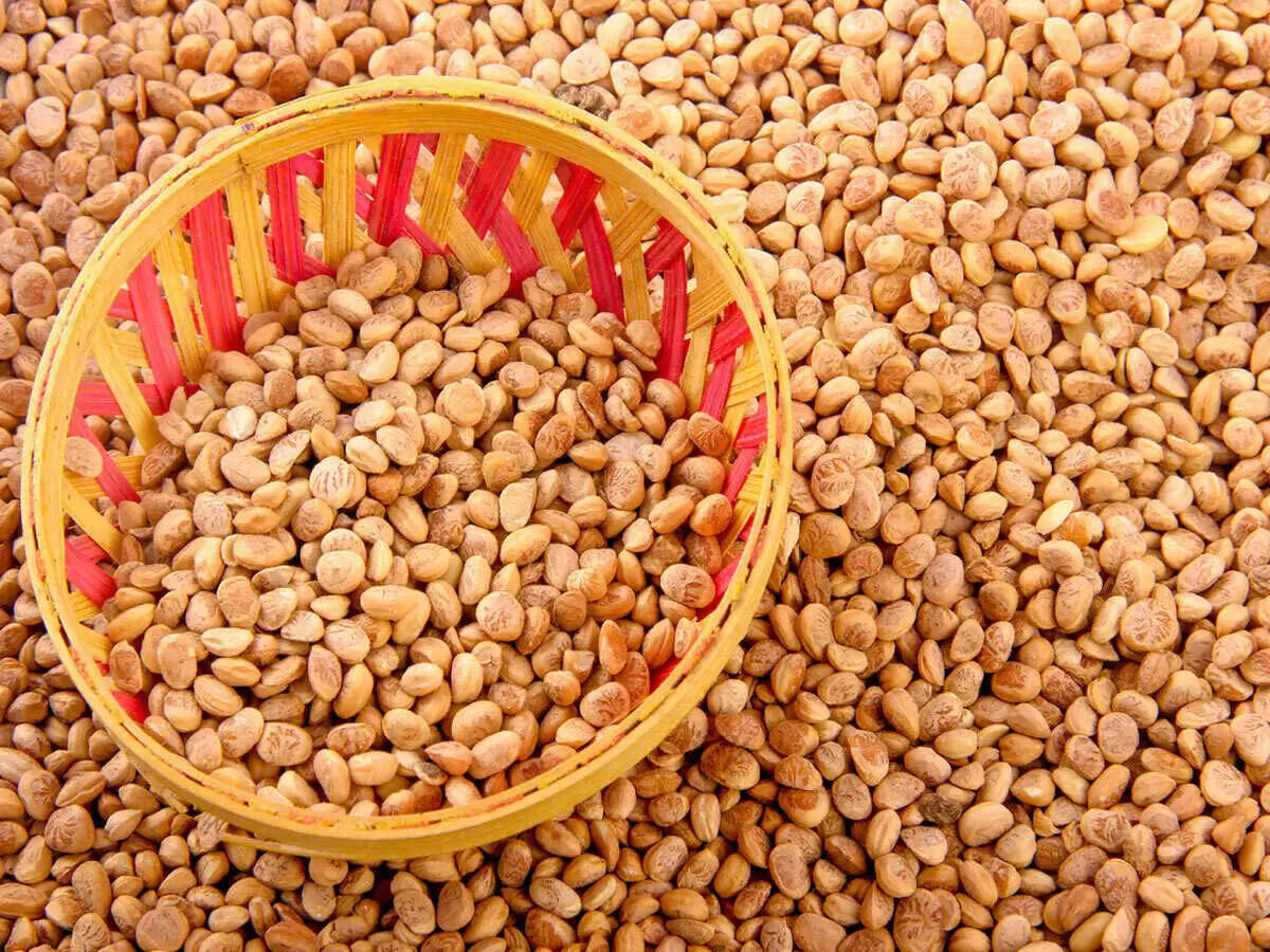 चिरौंजी: सेहत के लिए फायदेमंद सूखे मेवे के लाभ