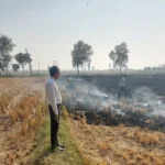 जींद में धान के अवशेष जलाने पर दस पुलिसकर्मी निलंबित