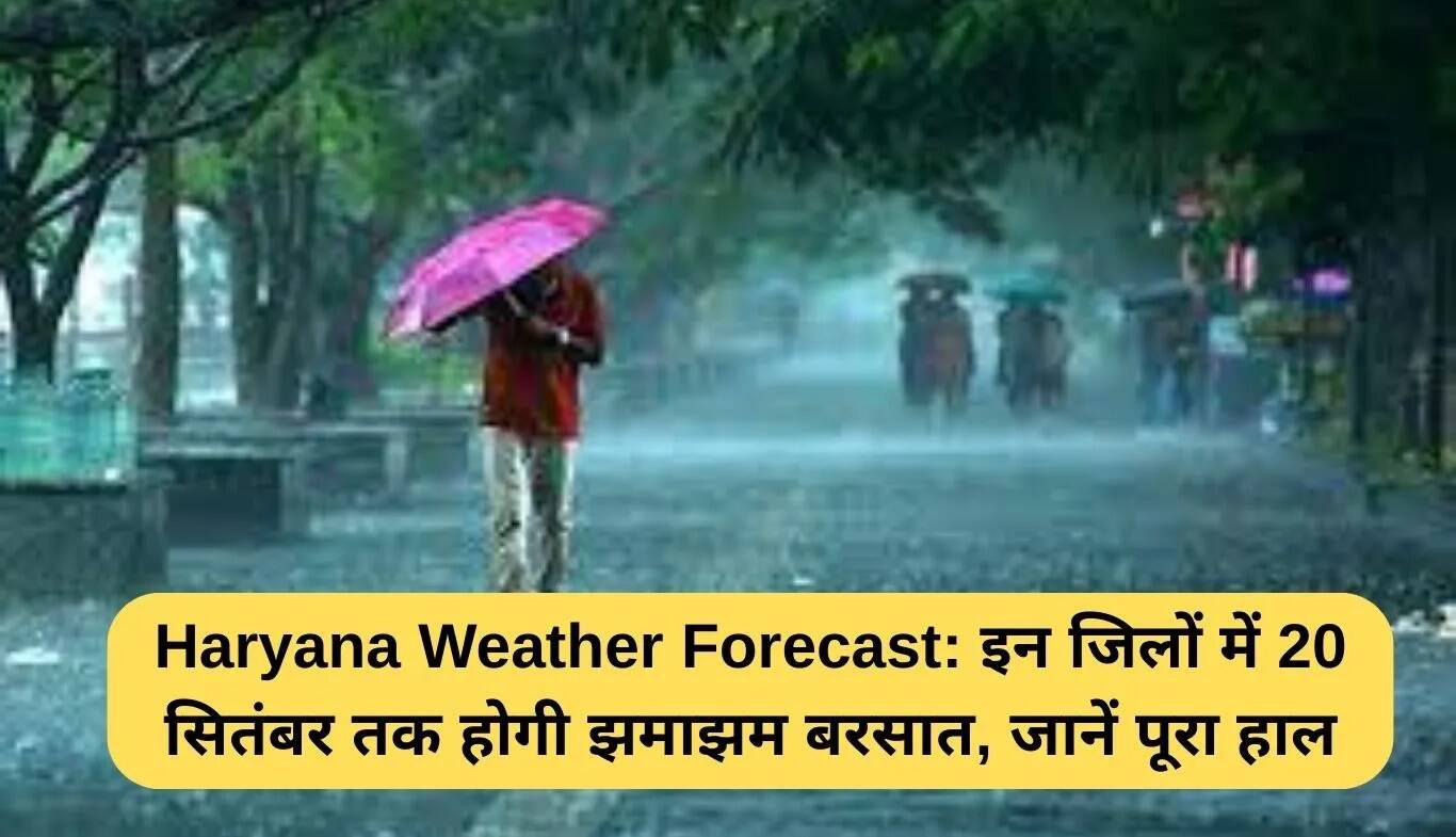 हरियाणा में मौसम का पूर्वानुमान: 16 से 20 सितंबर तक बारिश की संभावना