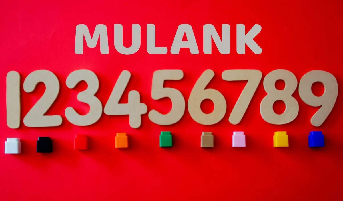 29 दिसंबर का अंक ज्योतिष: जानें आपके मूलांक के अनुसार कैसा रहेगा दिन