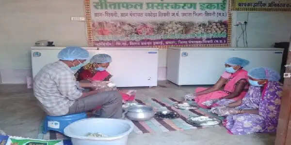 मप्र में सिवनी का सीताफल बना महिलाओं की तरक्की का माध्यम, रबड़ी और पल्प की देशभर में बढ़ी मांग