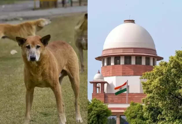 सुप्रीम कोर्ट का आवारा कुत्तों पर सख्त आदेश, प्रशासन को दिए गए निर्देश