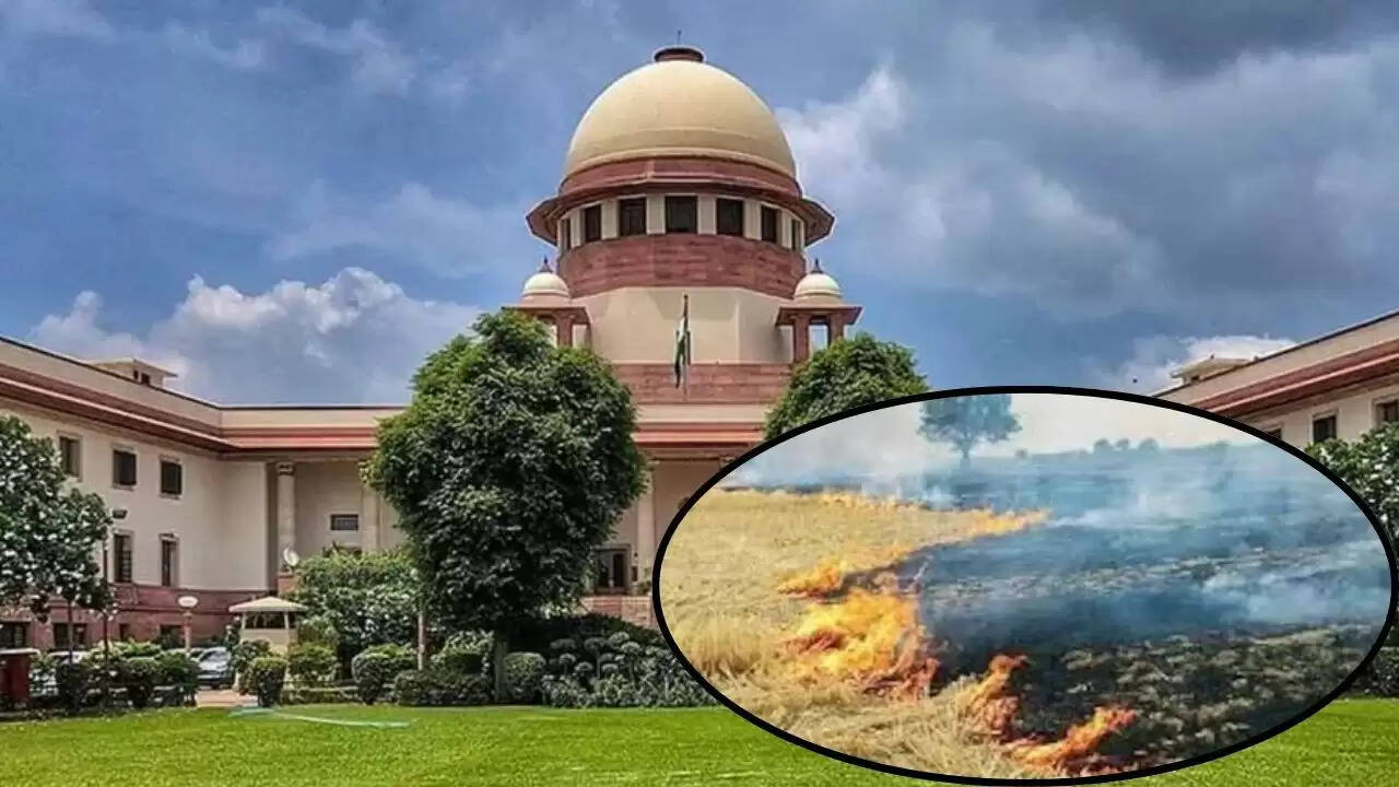 सुप्रीम कोर्ट की सख्त चेतावनी: पराली जलाने पर उठाए जाने चाहिए कड़े कदम