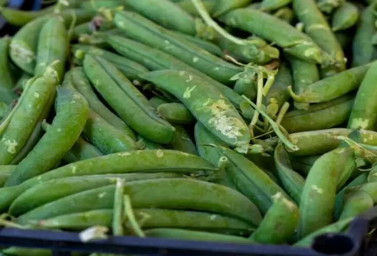 ताजा हरी मटर के स्वास्थ्य लाभ और पोषण मूल्य