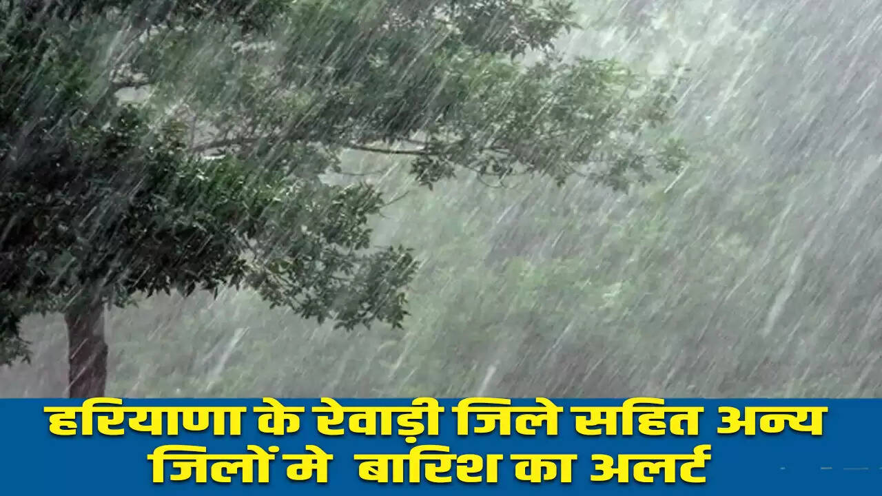 हरियाणा में अगले 24 घंटे में भारी बारिश की चेतावनी