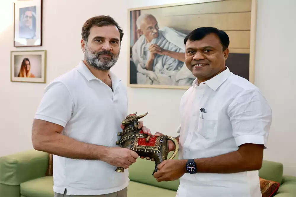 कांग्रेस अध्यक्ष का भाजपा को उप राष्ट्रपति के लिए सुझाव, छत्तीसगढ़ में राजनीतिक हलचल