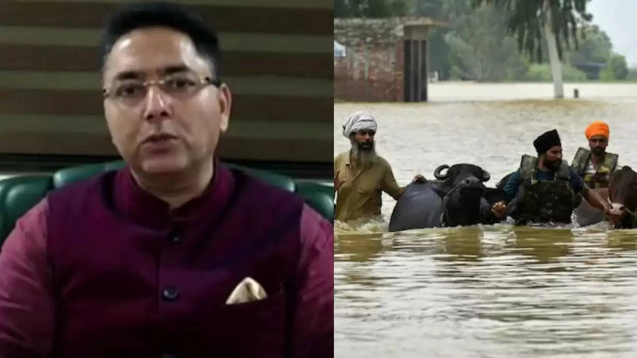 पंजाब में बाढ़ राहत पैकेज पर अमन अरोड़ा की कड़ी प्रतिक्रिया