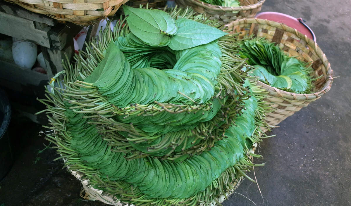 प्रदूषण से राहत: पान के पत्ते से गले की जलन का घरेलू उपाय