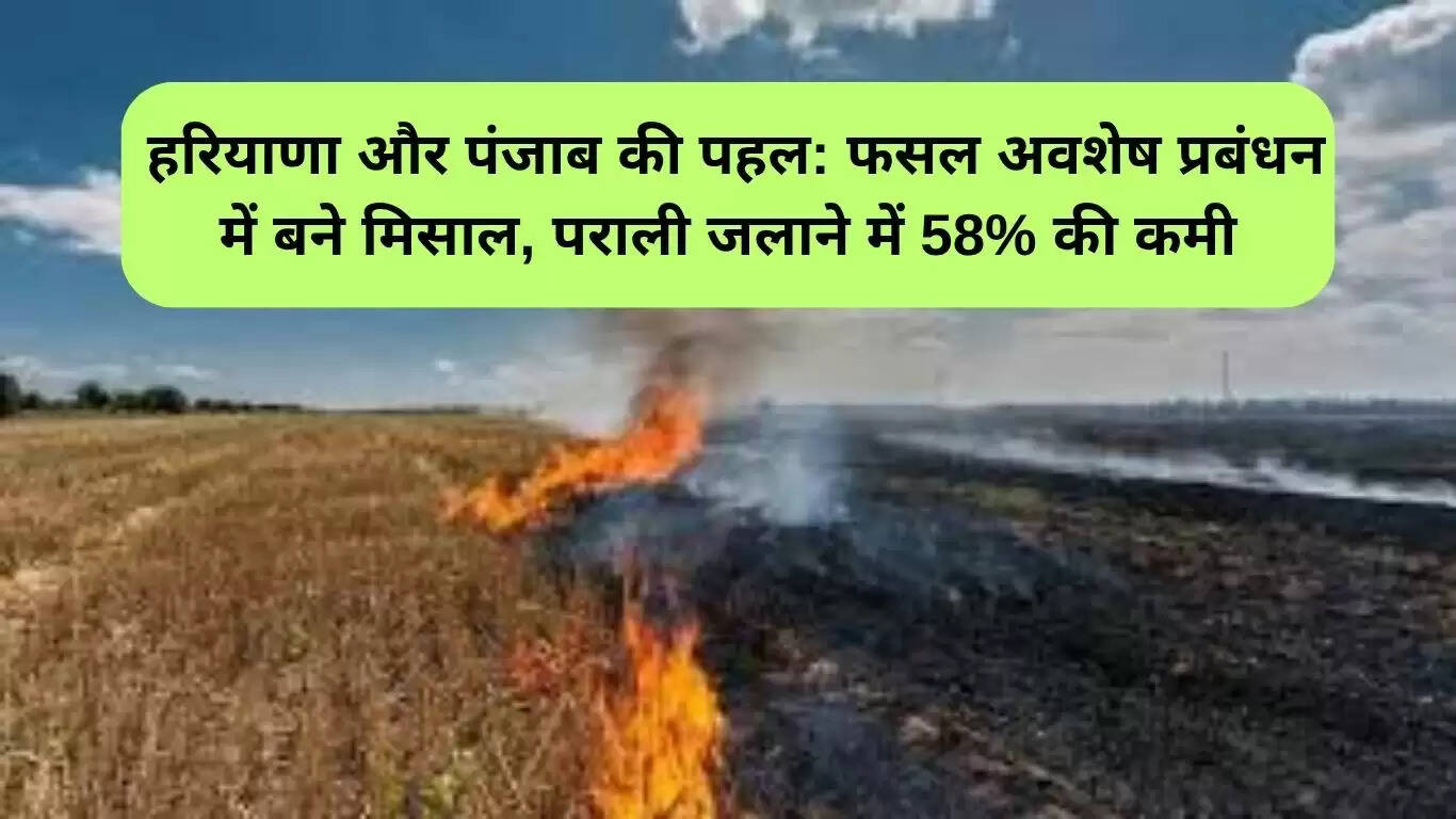 हरियाणा और पंजाब का फसल अवशेष प्रबंधन में नया उदाहरण: 58% कमी