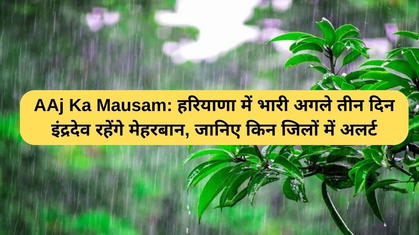 हरियाणा में अगले तीन दिनों के लिए भारी बारिश का अलर्ट