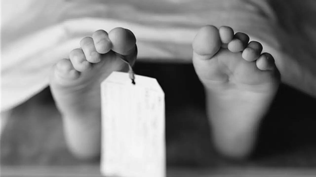 जालौर में स्कूल में छात्रा की मौत: दीवार का ब्लैकबोर्ड गिरने से हादसा