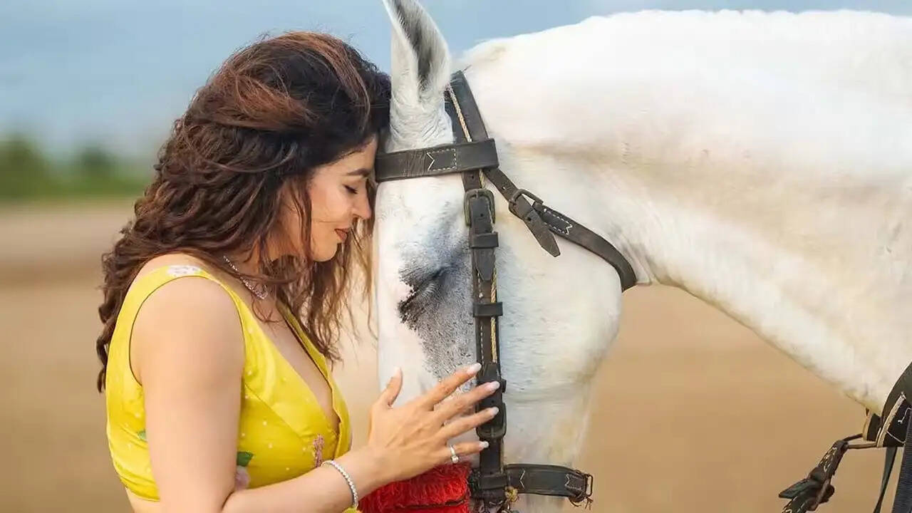नेहा पेंडसे का गुस्सा: पुणे में बुजुर्ग द्वारा बच्चों के साथ दुष्कर्म की कोशिश पर प्रतिक्रिया