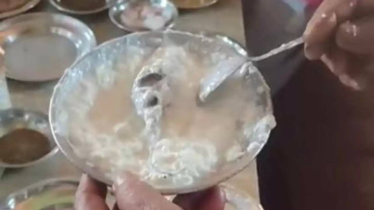 गाजीपुर के ढाबे में दही में मिला मरा चूहा: सफाई मानकों पर उठे सवाल