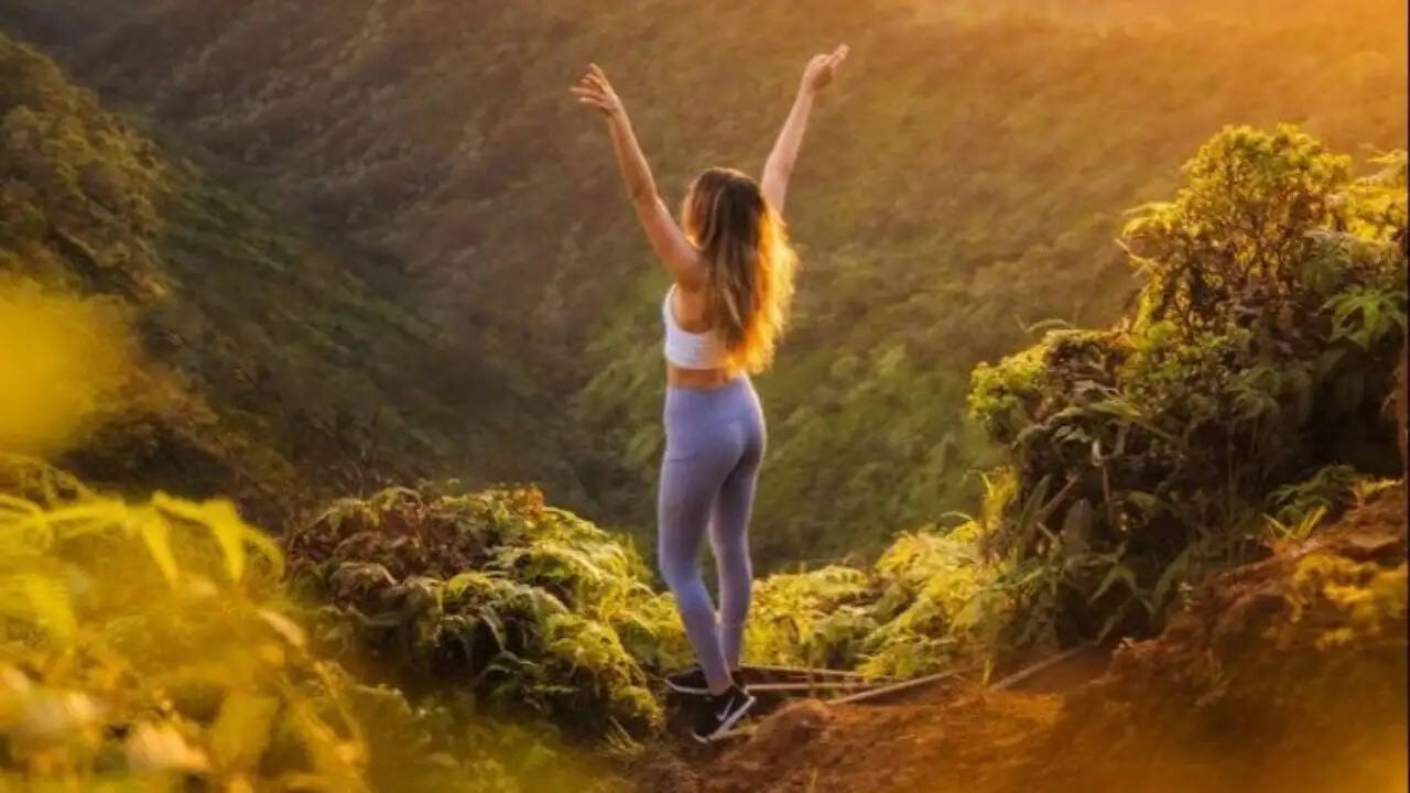 गर्मी की छुट्टियों के लिए पहाड़ या समुद्र: सही विकल्प कैसे चुनें?