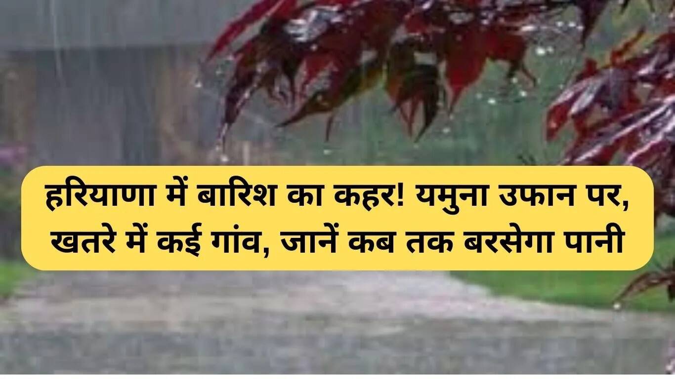 हरियाणा में बारिश का कहर: यमुना नदी का जलस्तर बढ़ा, कई गांवों को खतरा
