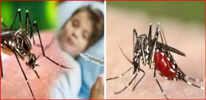 मानसून में डेंगू और मलेरिया से बचाव के उपाय