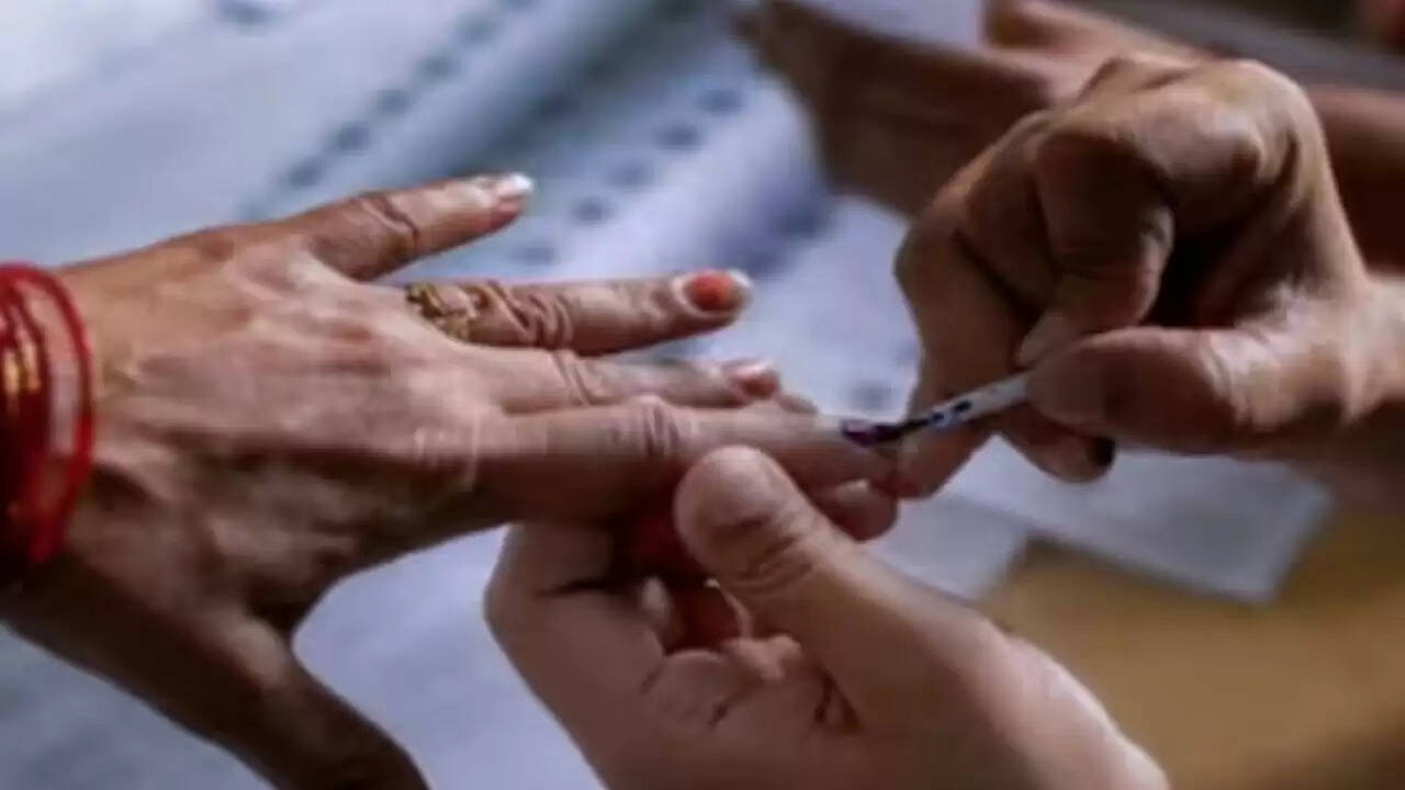 बिहार विधानसभा चुनाव 2025: मतदाता सूची का फाइनल अपडेट, जानें कैसे करें चेक