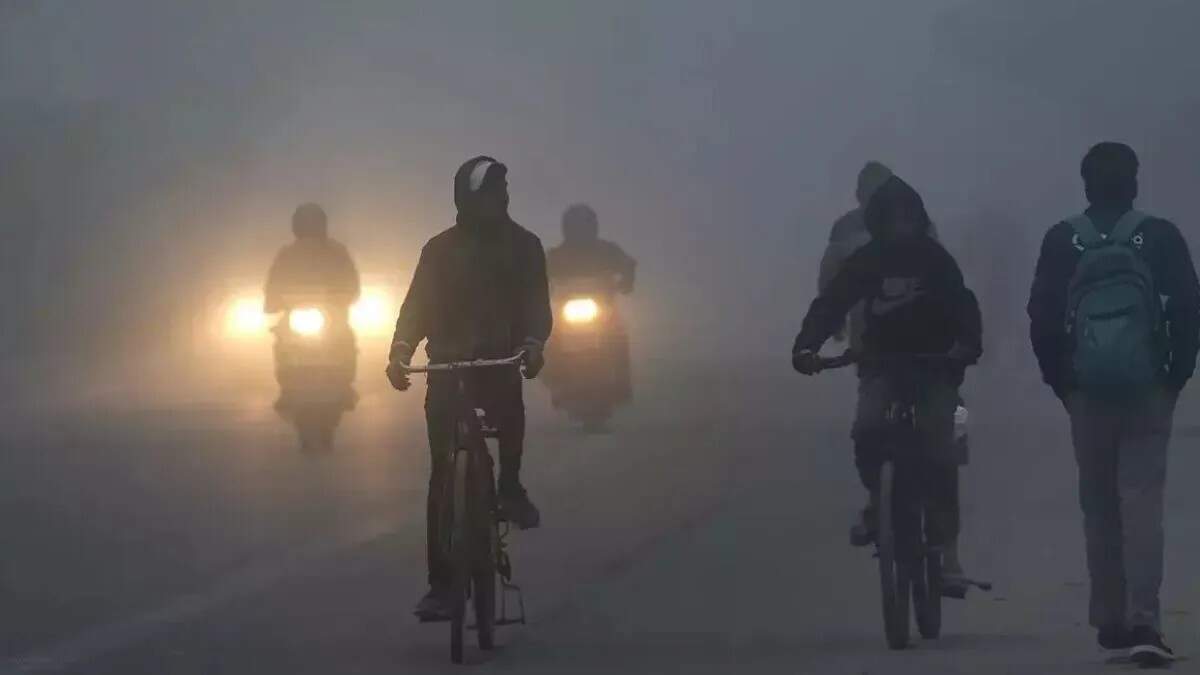 कैथल में ठंड का असर: धुंध और स्वास्थ्य पर प्रभाव