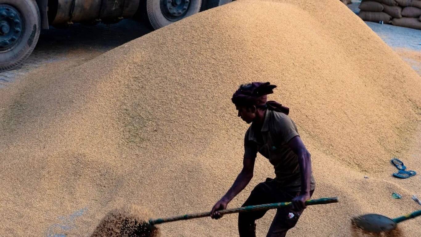 कैथल मंडी में धान की आवक, लेकिन सड़कों की स्थिति चिंताजनक