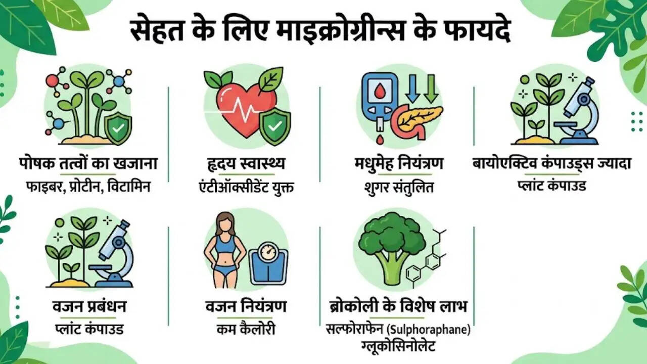 माइक्रोग्रीन्स: स्वास्थ्य के लिए लाभकारी और घर पर उगाने की विधि
