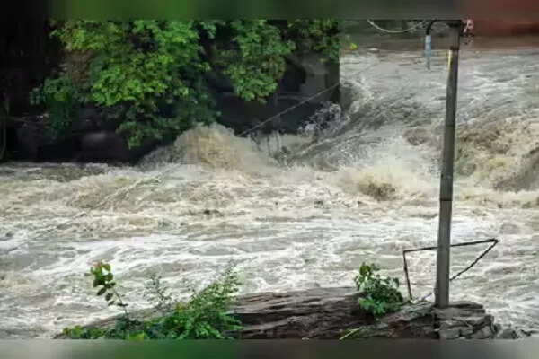 पाकिस्तान में स्वात नदी में बाढ़ से 18 पर्यटक बह गए, 7 की मौत